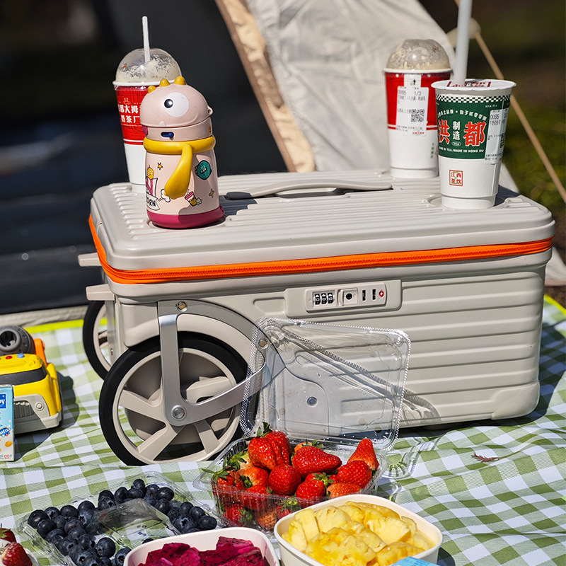 20/24 inch Outdoor Luggage Cam - Spinner Wheel Rolling Suitcase 20 Inch review and price