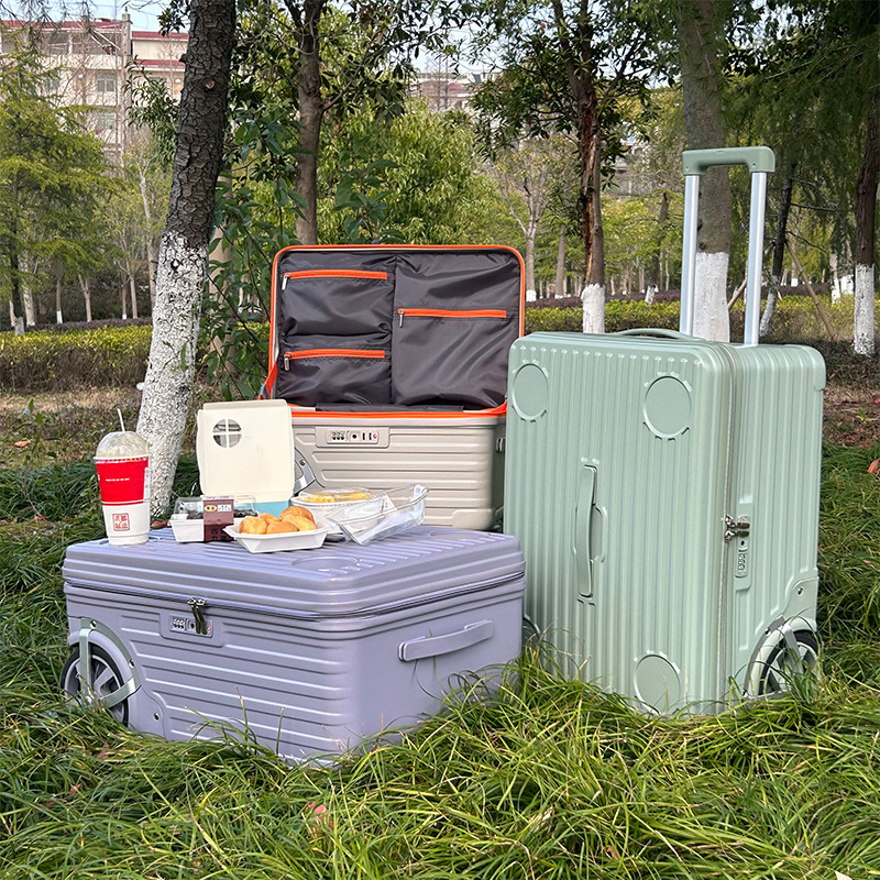 20/24 inch Outdoor Luggage Cam - Spinner Wheel Rolling Suitcase 20 Inch review and price