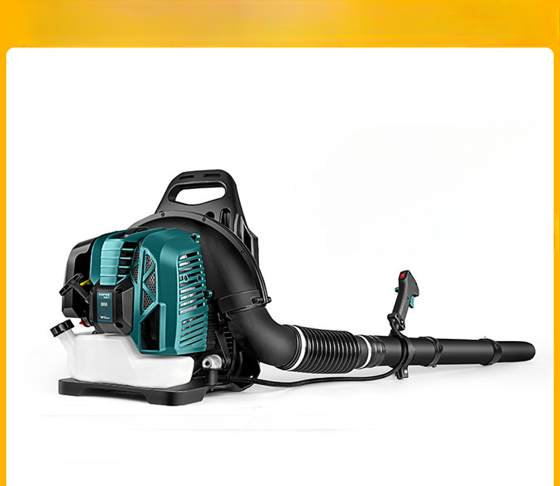 Two-stroke backpack hair dryer - Backpacks review and price