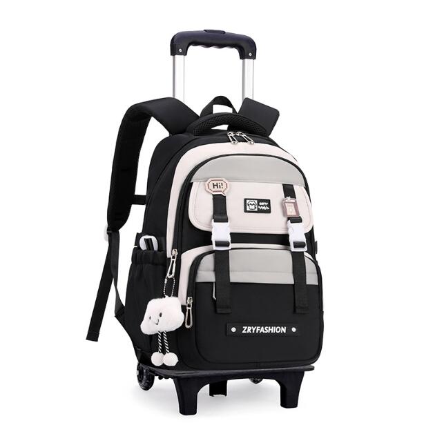 Travel Rolling Luggage backpac - Foldable Rolling Luggage Bag review and price